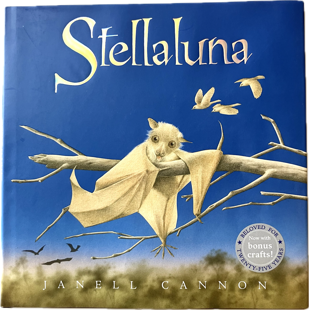 Stellaluna Book